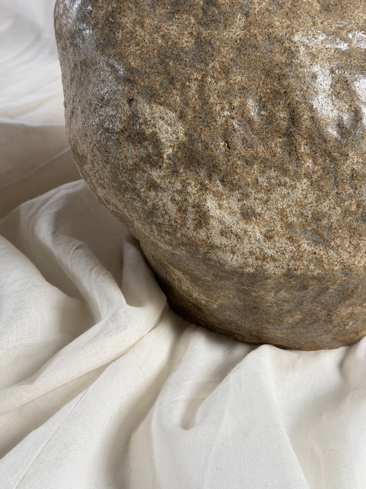Scleractinian Fragment 04