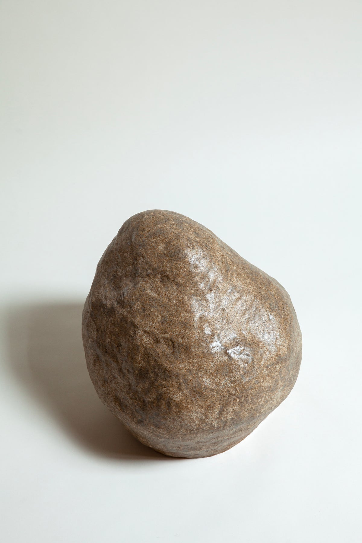 Scleractinian Fragment 04