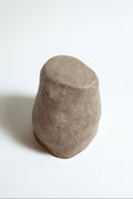 Scleractinian Fragment 05