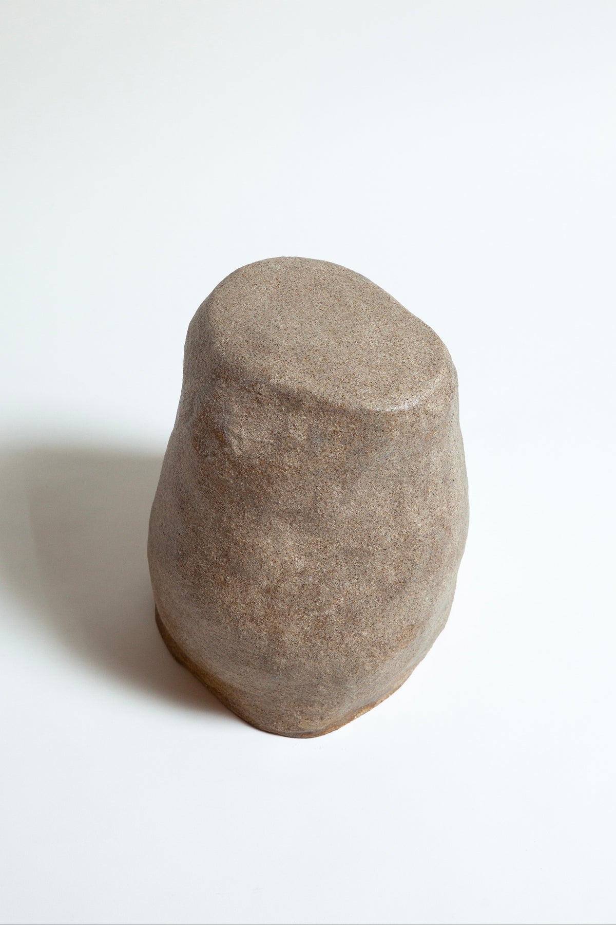 Scleractinian Fragment 05