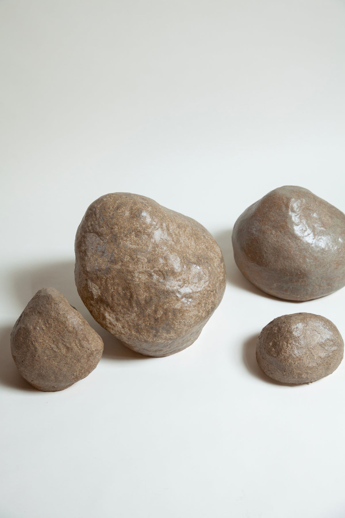 Scleractinian Fragment 02